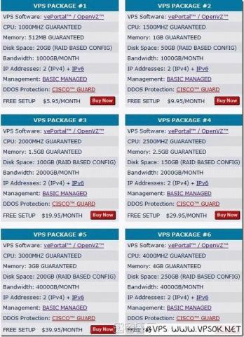 BurstNET:linux VPS 20%优惠码 全部机房适用 BurstNET:linux VPS 20%优惠码 全部机房适用