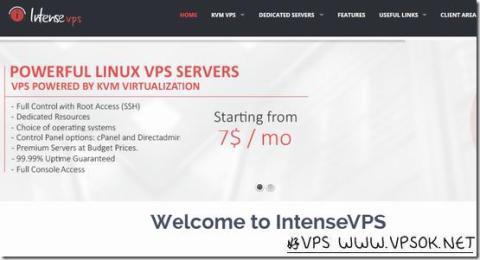 IntenseVPS:$5/月KVM-768MB/25GB/1TB 荷兰 IntenseVPS:$5/月KVM-768MB/25GB/1TB 荷兰